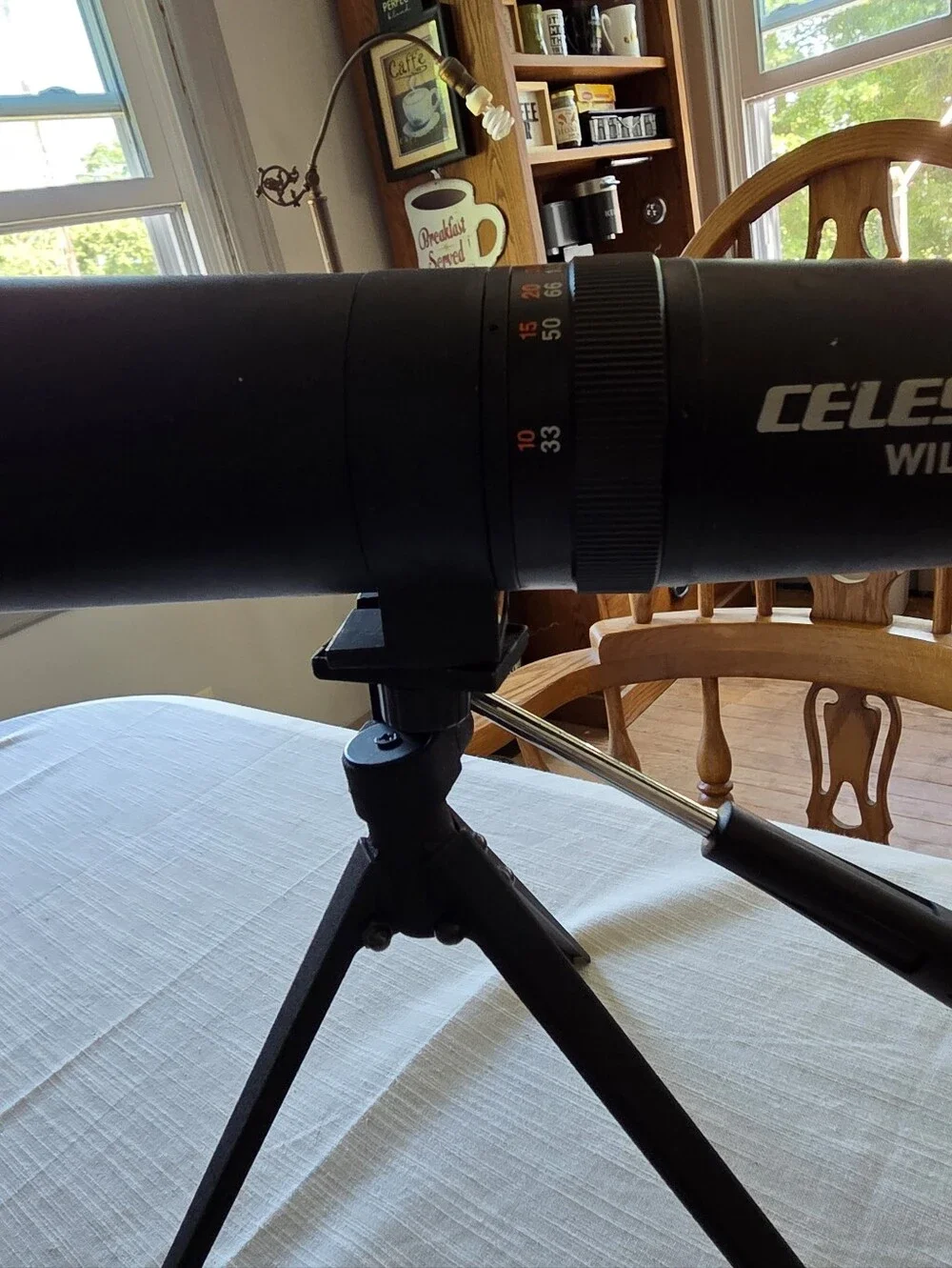 Celestron Wildlife 15-45x60mm Spotting Scope with Tripod